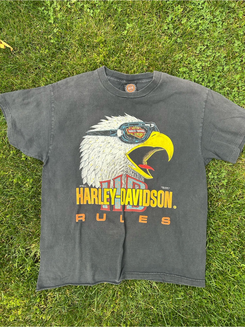 Vintage Harley-Davidson Rules Screamin’ Eagle Rider 1996 Graphic Tee
